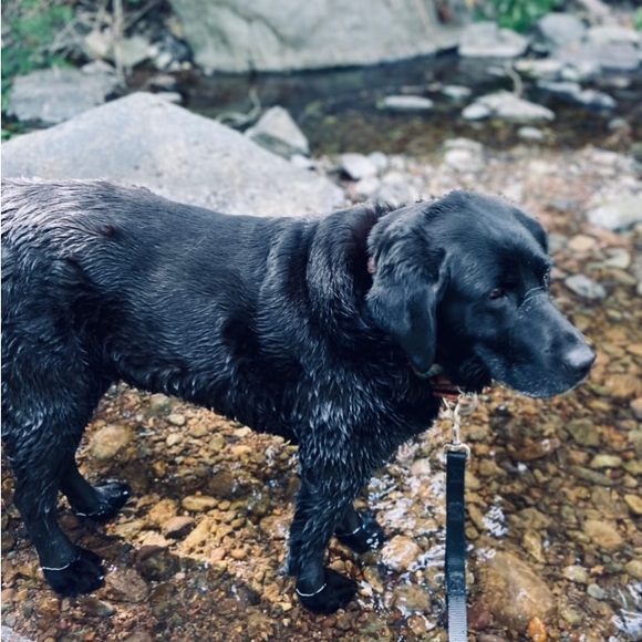 Meet your Posher, Brooke - Picture 13 of 16